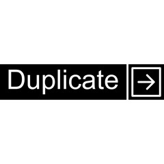 Duplicate Vector Icon