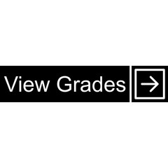 View Grades Vector Icon