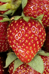 Juicy Strawberries Close-Up. Vibrant Red Berry Texture for Design.