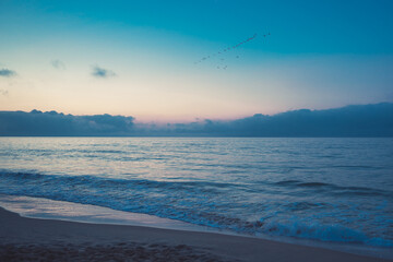 Marine landscape of the Mediterranean Sea with blue off the coast of France near the city of Marseillan. A flight of birds flying in the sky.