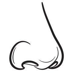 Fototapeta premium Isolated black and white outline illustration of a human nose with detailed shadows