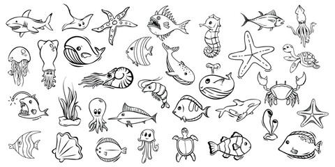 Black and white illustrations of various marine creatures.