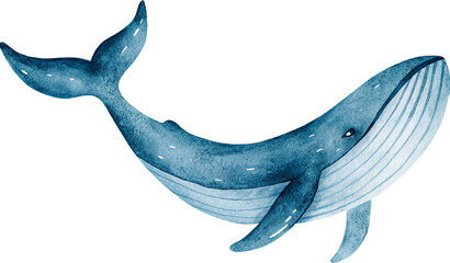 Watercolor illustration of a blue whale with visible tail and fin on a transparent background. © beyouenked