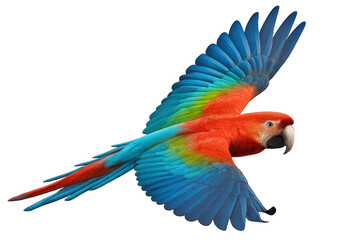 Fototapeta premium Scarlet macaw soaring with vivid feathers, capturing tropical rainforest freedom and wild avian grace