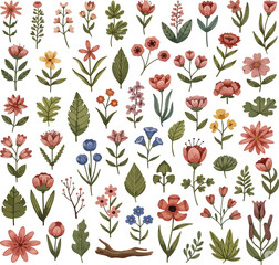 Botanical Wildflower and Leaf Vintage Watercolor Illustration Set