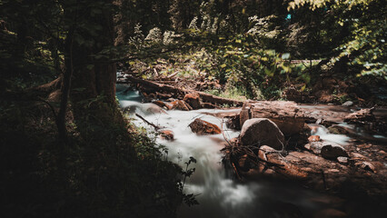 canton de neste sombre