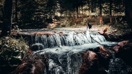 canton de neste june