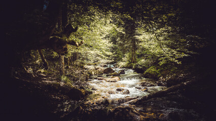 canton de neste chemin