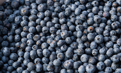 A pile of fresh blueberries in market