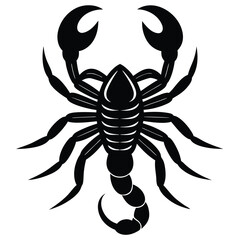 black scorpion isolated on white