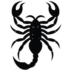 scorpion tattoo vector