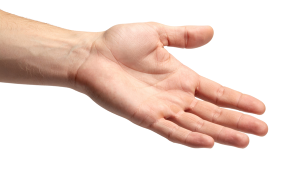 Open hand palm up adult light skin isolated transparency background close up gesture human fingers wrist relaxed natural detail anatomy healthy communication offering asking request emotion hope - Powered by Adobe