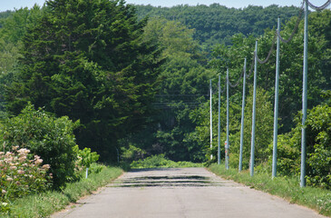 陽炎が立つ夏の道 / Summer Road with Heat Haze