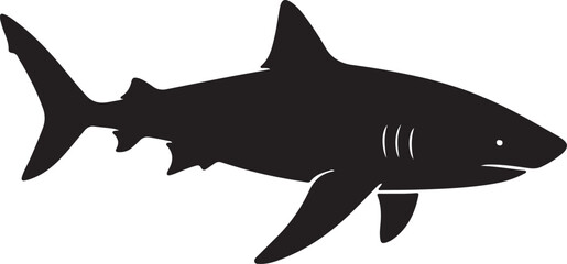 tiger shark vector