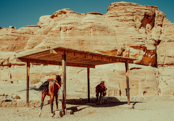 Traditional Horse Stable in a Rural Jordanian Village