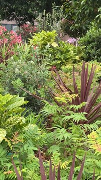 Lush tropical and exotic plants create a peaceful green oasis in the heart of a modern city. Beautiful urban landscaping showcases diverse plant species, sustainable design, and a relaxing public spac