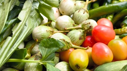 Fresh vegetables for cooking. Vegetables contain dietary fiber that helps cleanse the intestines.
