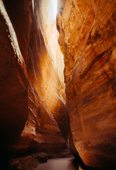 Narrow Sandstone Canyon Passage in Petra, Jordan