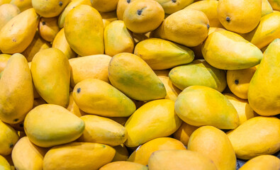 Pile of yellow mangoes in market