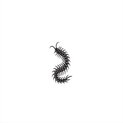 centipede