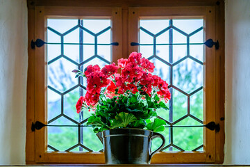 Bright sunny day with potted plants by the window in a cozy room surrounded by nature in the...