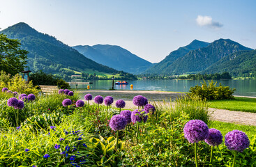 famous lake schliersee - bavaria