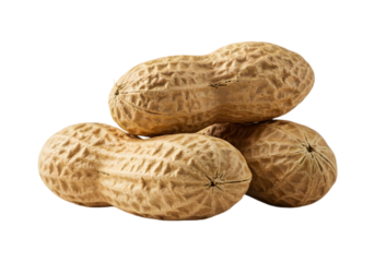 Peanut PNG High-Quality Images