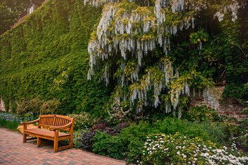 Wooden bench in the spring blooming garden	
