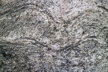 Ancient Rock Carvings on Textured Stone Surface