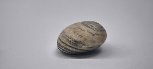 Natural river stones on white background