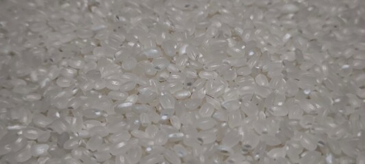 Close up of japanese rice. Japanese rice grains for background. Sushi Ingredients.