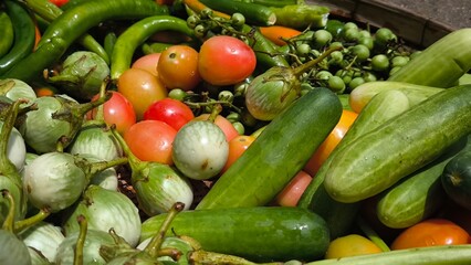 Fresh vegetables for cooking. Vegetables contain dietary fiber that helps cleanse the intestines.