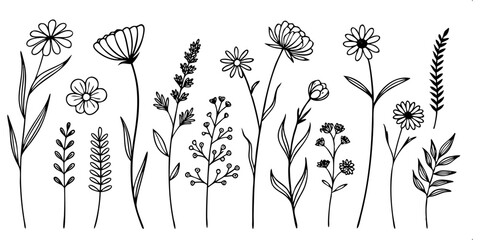 Botanical Harmony: A Delicate illustration that captures the charm and freshness of diverse flora. Each carefully sketched botanical specimen is a symbol of nature's subtle beauty.