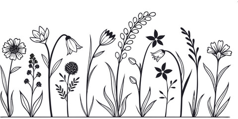 Floral Flourish: A graceful collection of detailed botanical illustrations presents various wildflowers, showcasing delicate line art with exquisite precision