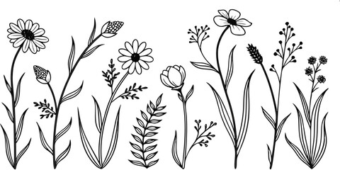 Floral Harmony: Hand-drawn wildflowers dance gracefully in a monochrome composition, celebrating the delicate beauty of nature's artistry.