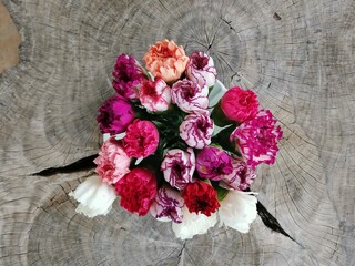 Dianthus Caryophyllus flower in colorful blooming on wood background