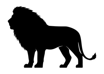 Silhouette of a lion