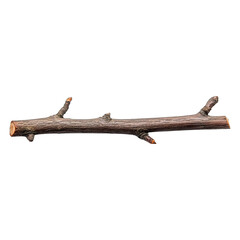 A fallen branch lies isolated on a stark black background, detailed texture