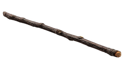 A single, isolated dark brown twig with a textured surface on black