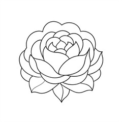 Elegant Peony Flower Outline Illustration on Transparent Background for Web and Graphic Design