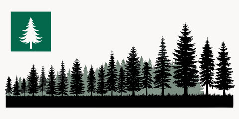 Fototapeta premium pine crismas trees