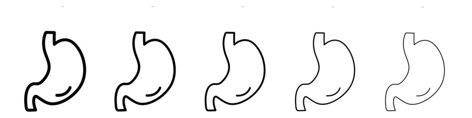 Stomach icon vector outline symbol or illustration