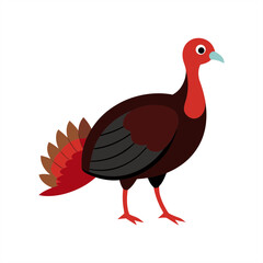 Realistic Turkey Bird Vector on Transparent Background for Web and Graphic Design