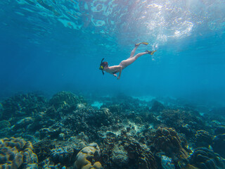 A person swims underwater in clear blue water, surrounded by colorful coral formations and marine life. The scene captures the serenity and beauty of the ocean environment.