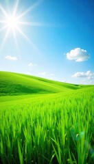 Fototapeta premium Sunlit Lush Green Field Idyllic Summer Landscape Perfect for Nature, Spring, and Environmental Projects