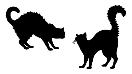 Halloween cat black vector silhouette