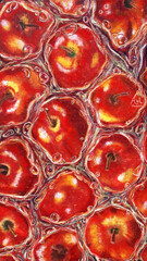 hand painting apples background on water. high resolution illustration for design or phone wallpaper with a whimsical and enchanting healthy theme