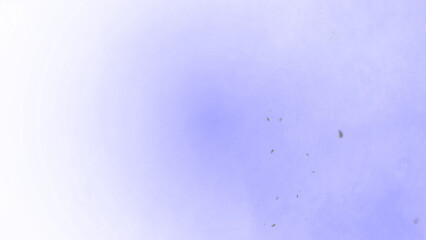 Deep blue gradient backdrop features scattered golden particles, creating a mystical and enchanting abstract cosmic effect.