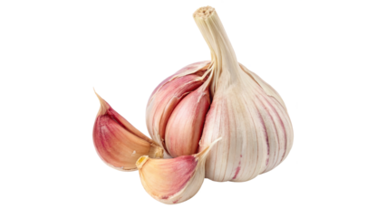 Fresh Garlic Cloves and Bulb Isolated On a transparent background a focus on culinary ingredient aesthetics