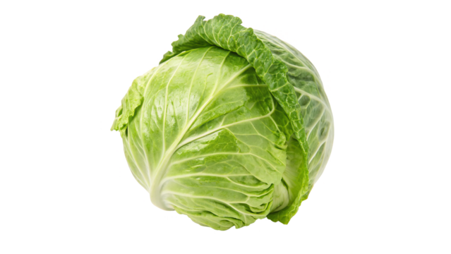 Fresh Green Cabbage Isolated On a transparent background of culinary practices